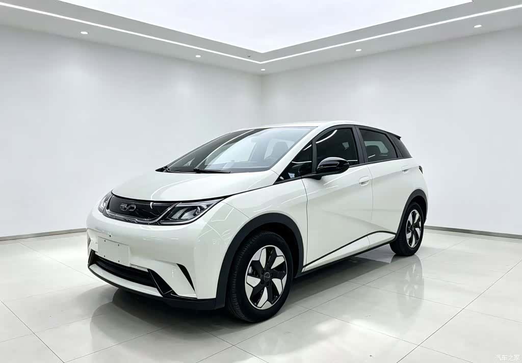 BYD Dolphin, 2024 1
