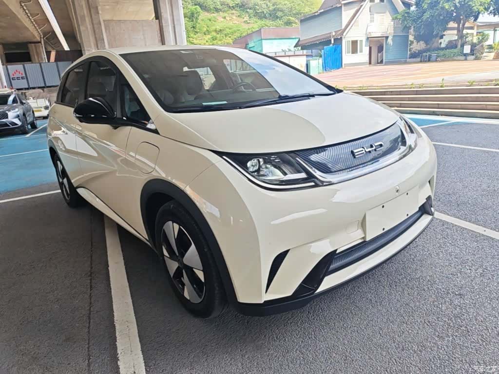 BYD Dolphin, 2023 4