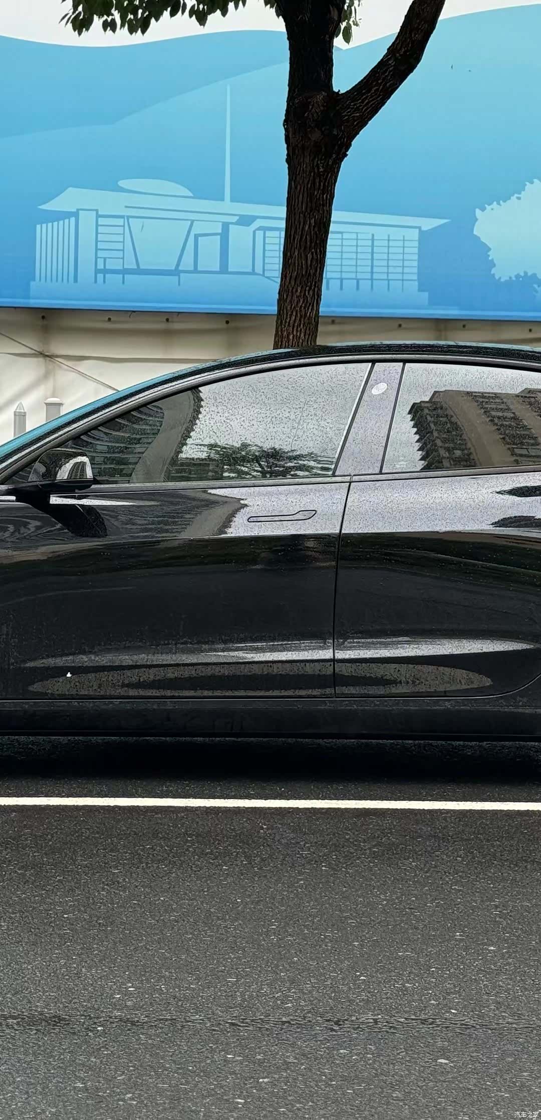 Tesla Model 3, 2021 8