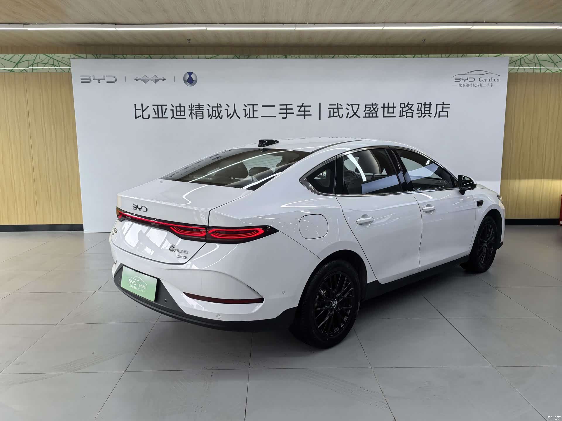 BYD Qin, 2025 все фото