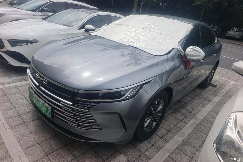 BYD Destroyer 05, 2024 1