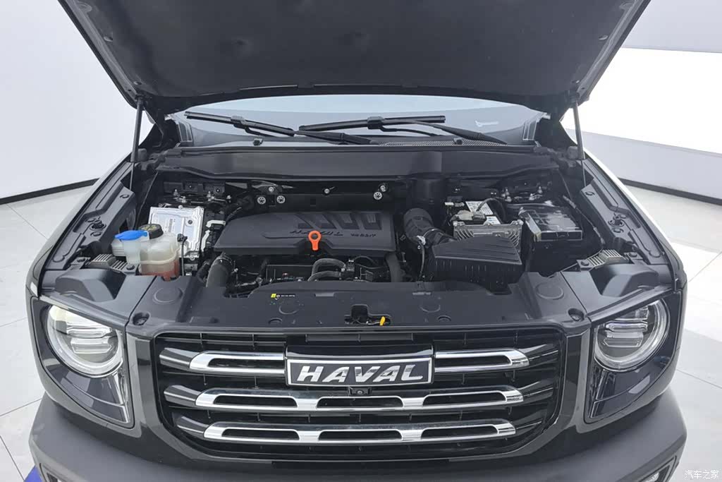 Haval Big Dog, 2022 10