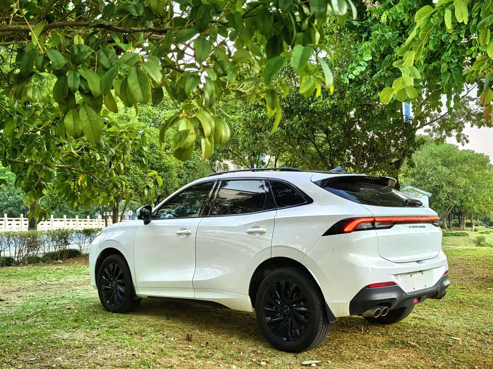 Forthing Popular T5 EVO