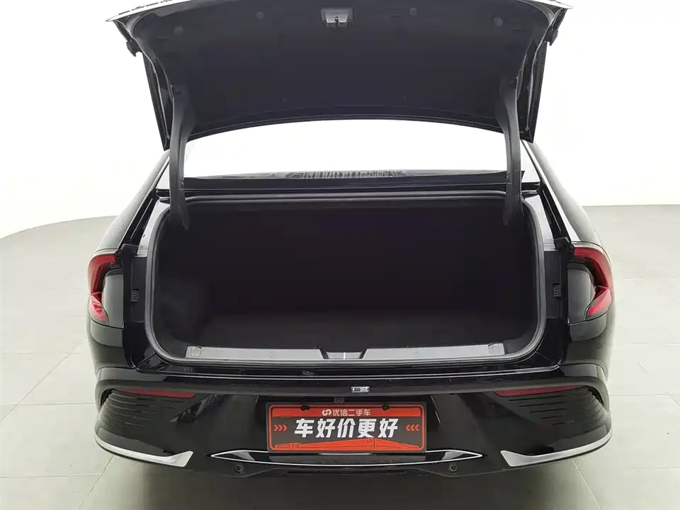 Wuling Wuling Starlight