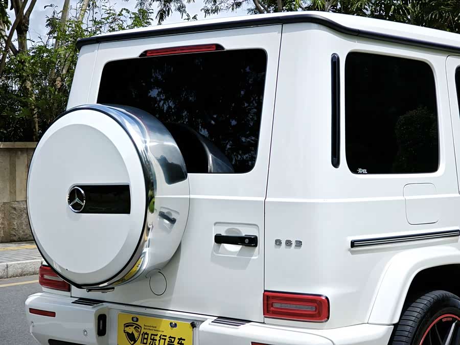 Mercedes-Benz G-Class 2019, фото 22