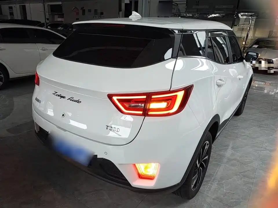 Zotye T300