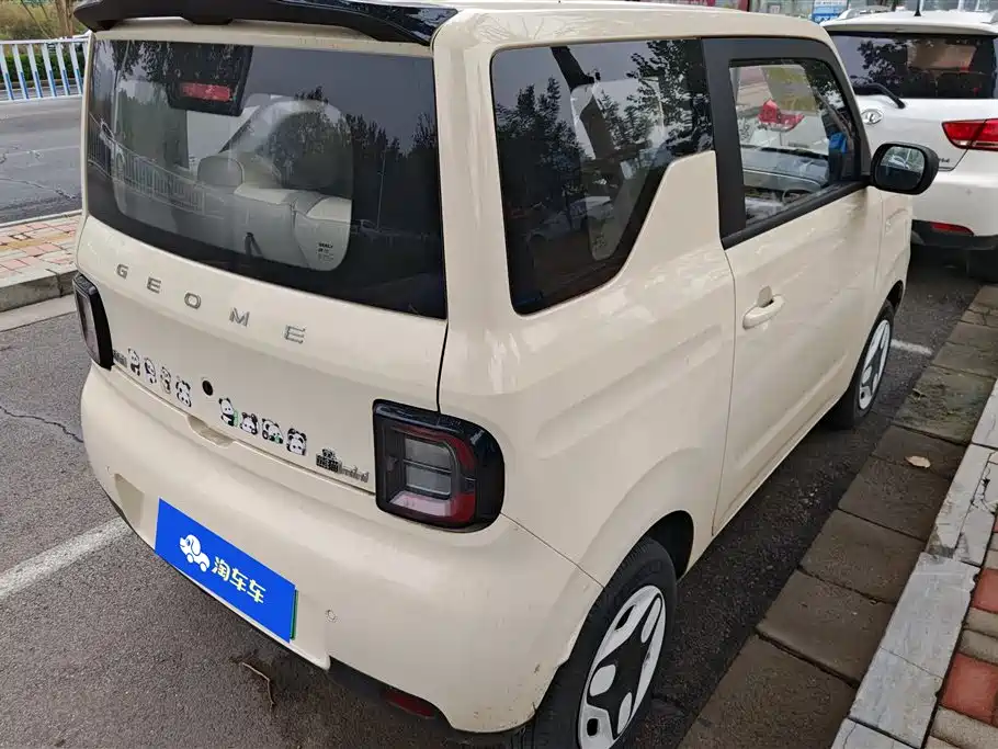 Geely Galaxy panda