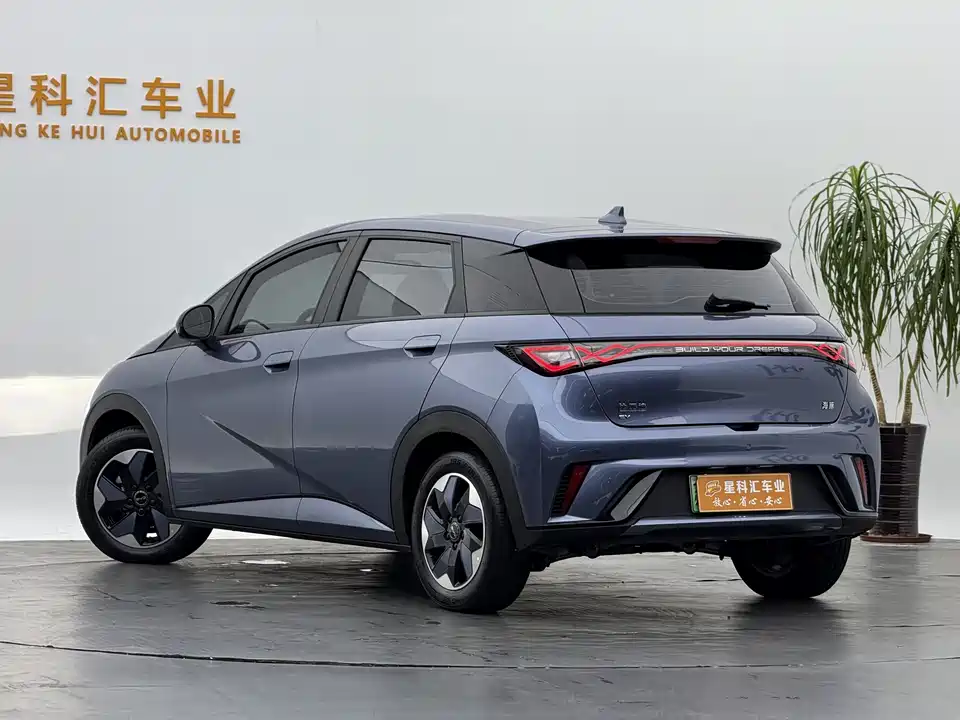 BYD dolphin