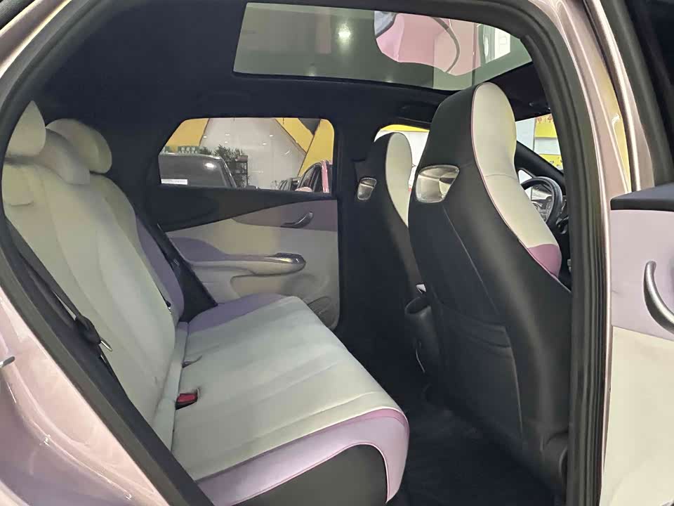 BYD dolphin