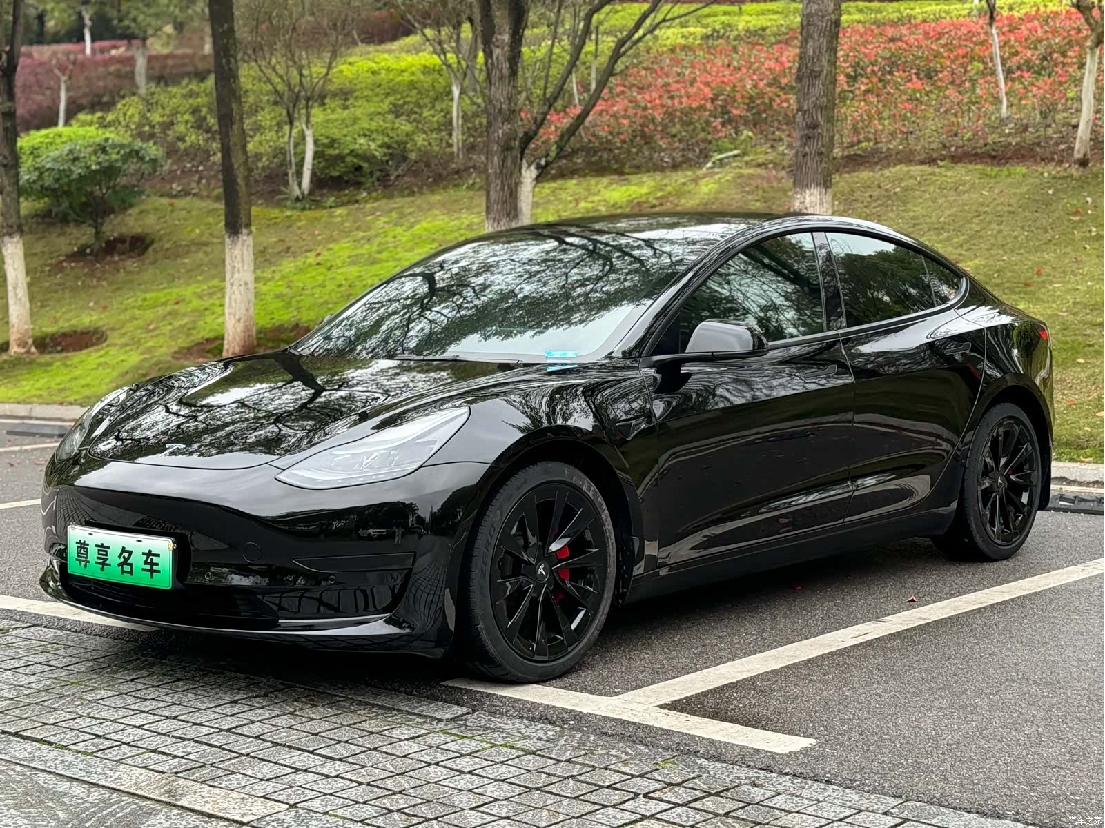 Tesla Model 3, 2023 1
