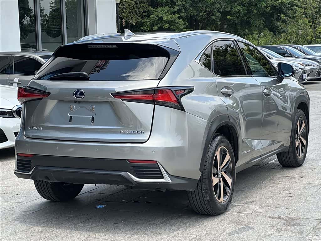 Lexus NX, 2020 все фото