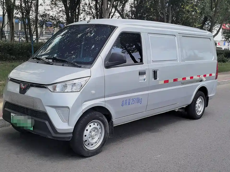 Wuling Wuling EV50