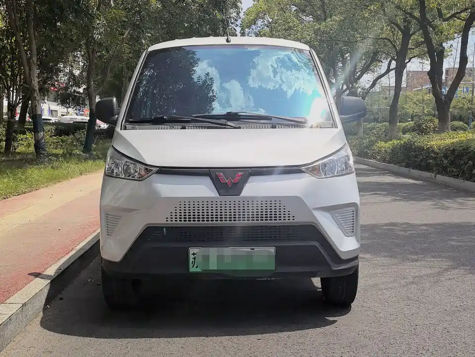 Wuling Wuling EV50