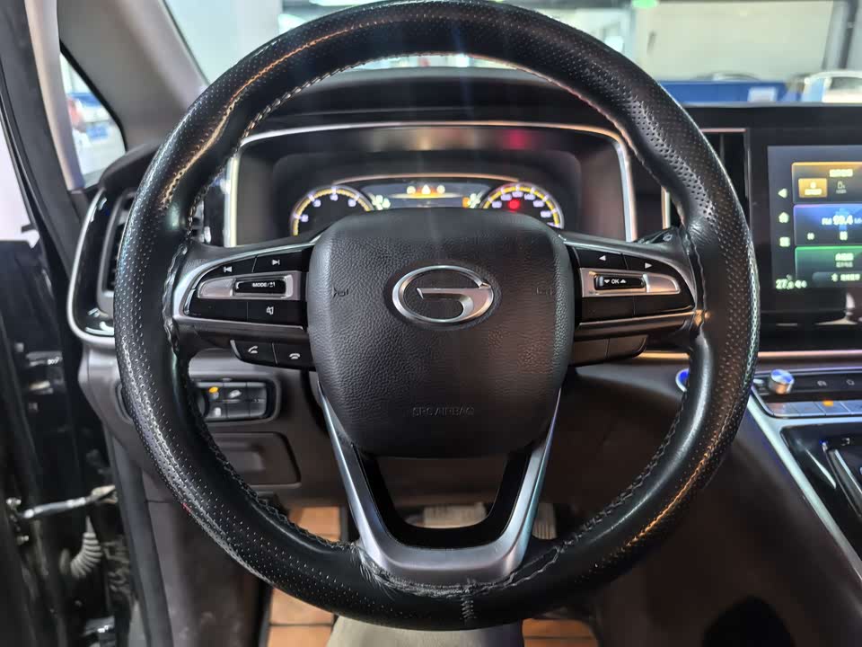 Trumpchi Trumpchi M8