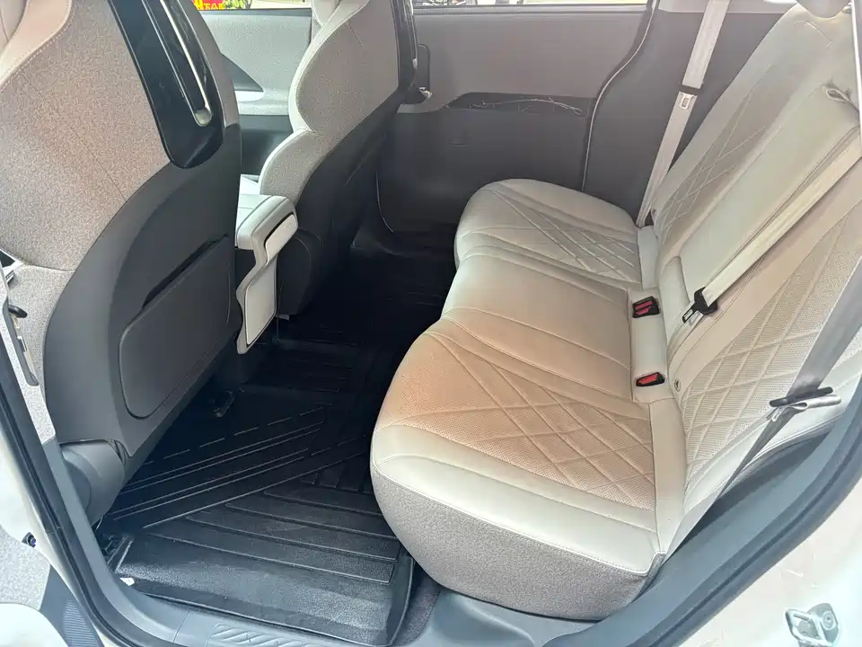 ARCFOX Polar Fox Koala S