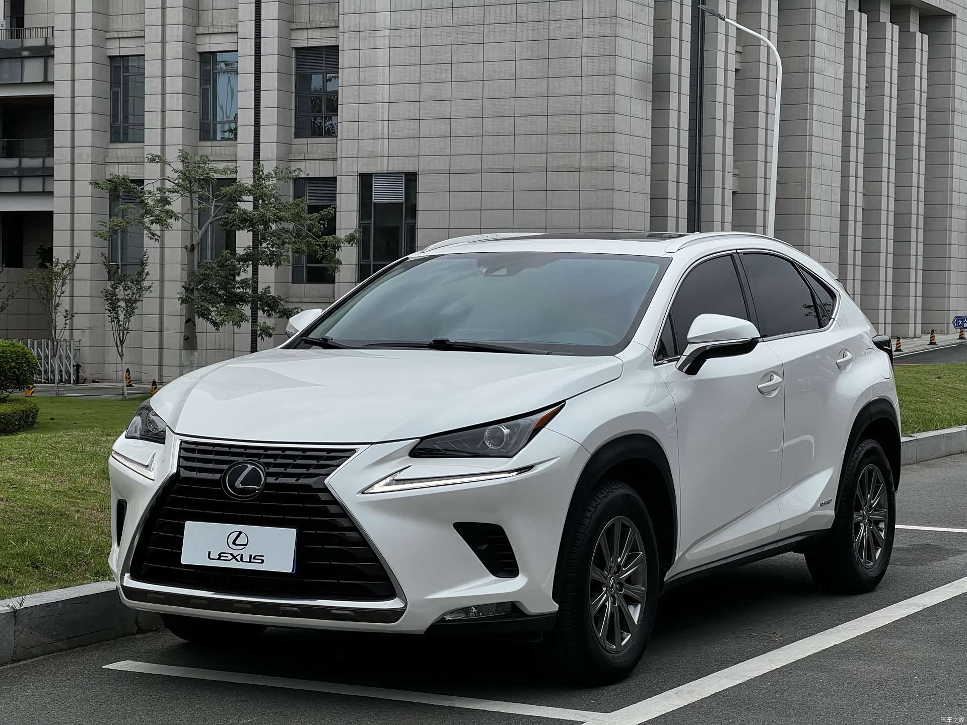 Lexus NX, 2020 1