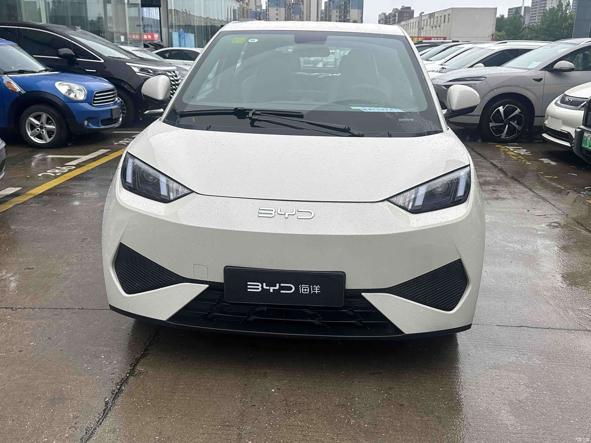 BYD Seagull, 2026 3