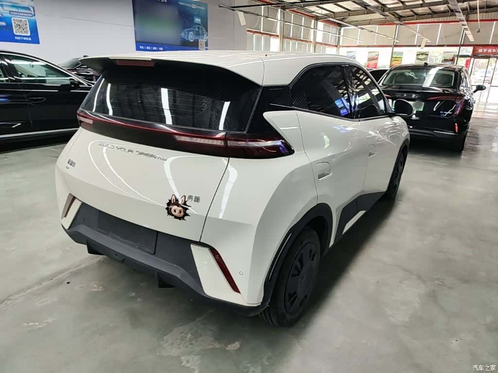 BYD Seagull, 2024 7