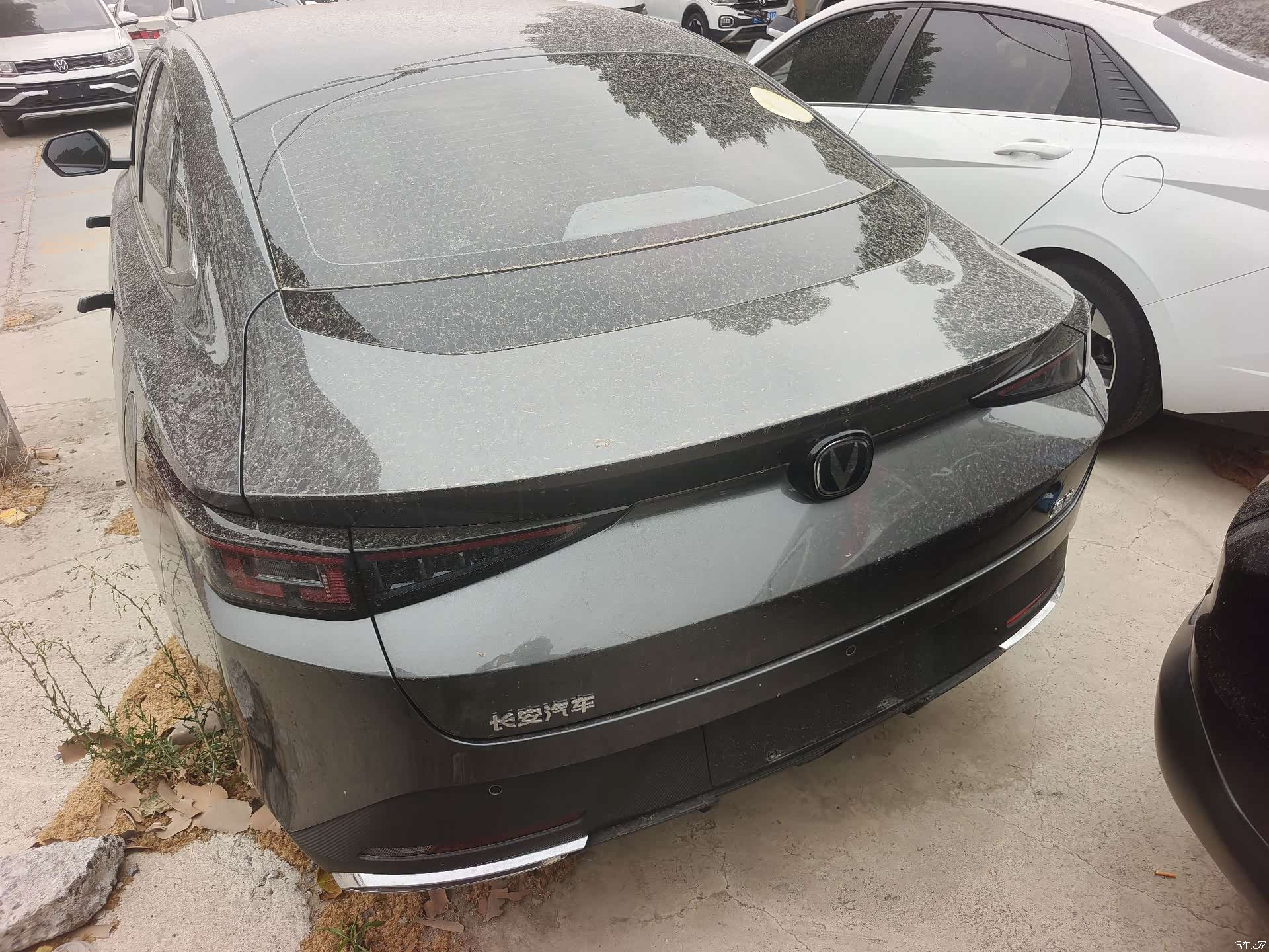 Changan Eado, 2025 11