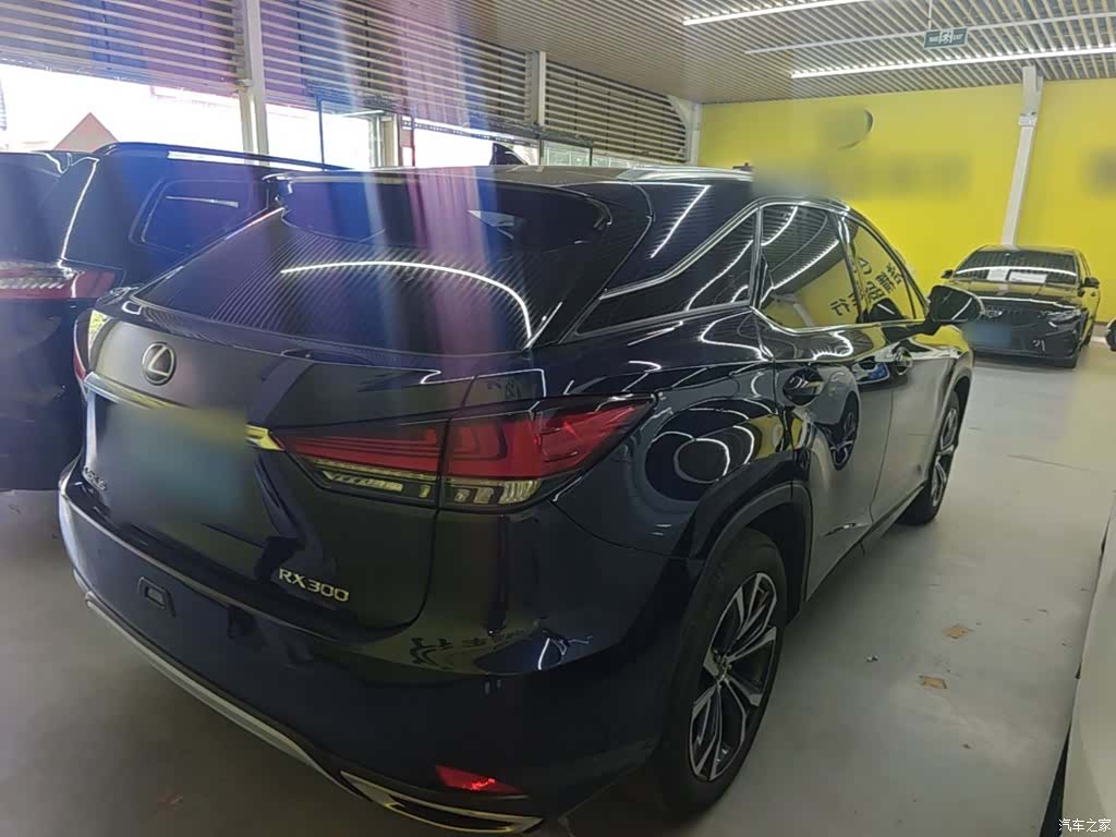 Lexus RX, 2021 7