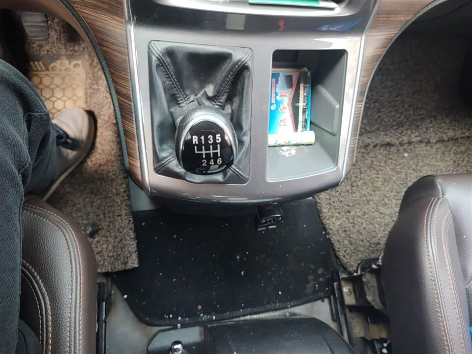 Forthing Lingzhi PLUS