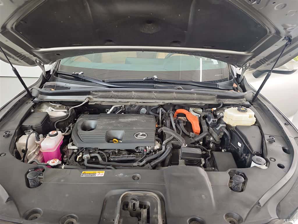 Lexus RX, 2023 19
