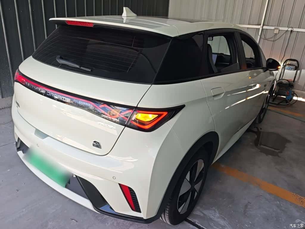 BYD Dolphin, 2024 7