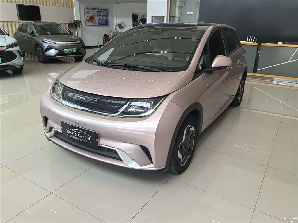 BYD Dolphin, 2022 1