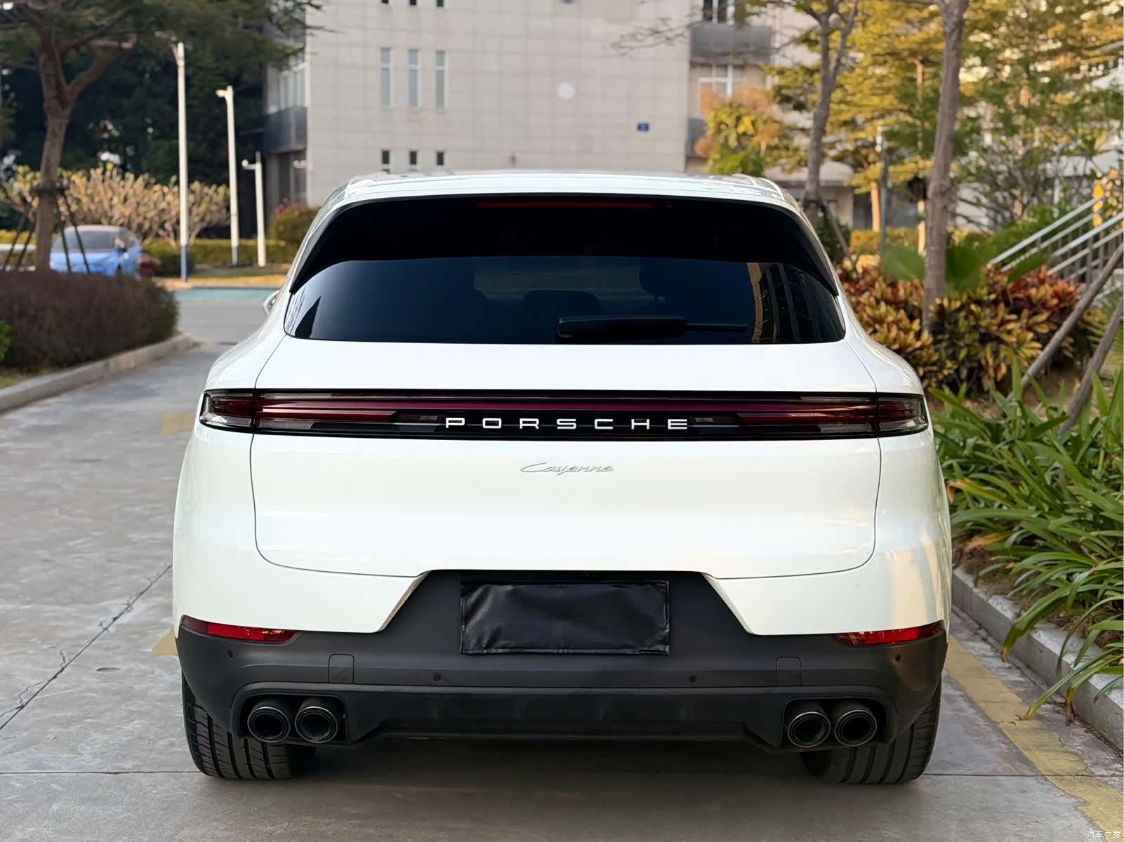 Porsche Cayenne, 2024 все фото