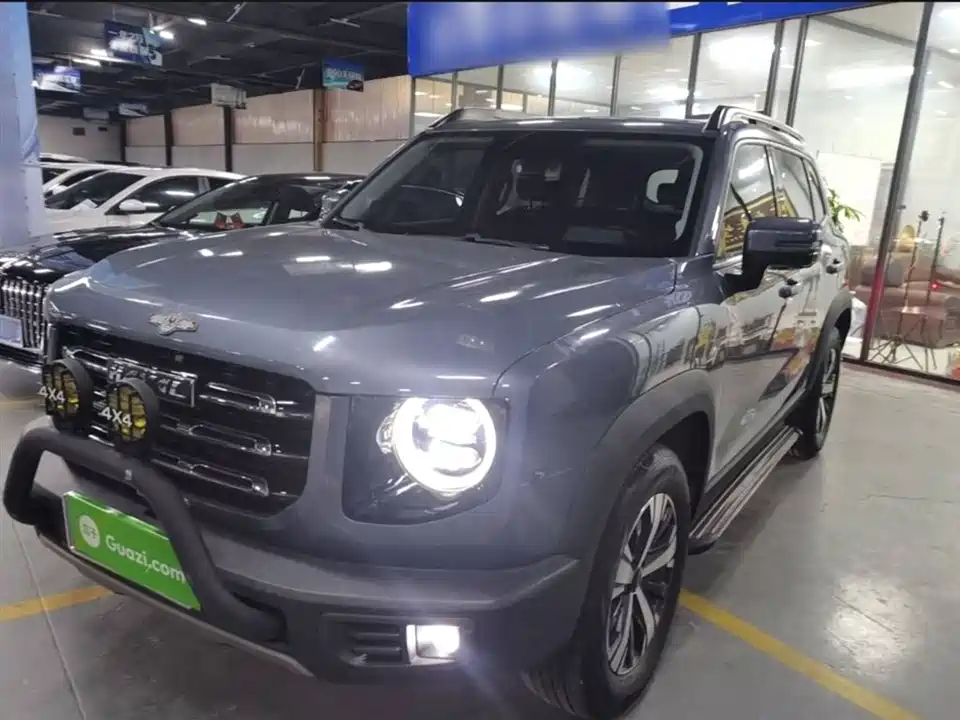 Haval Big dog