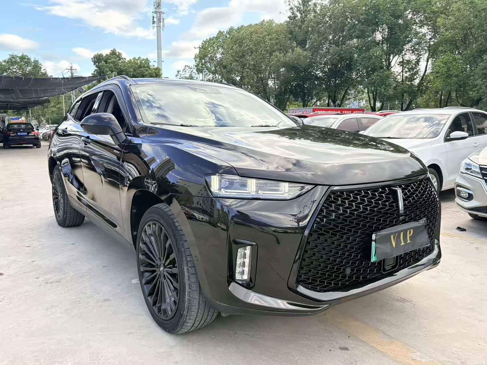 WEY P8, 2018 3