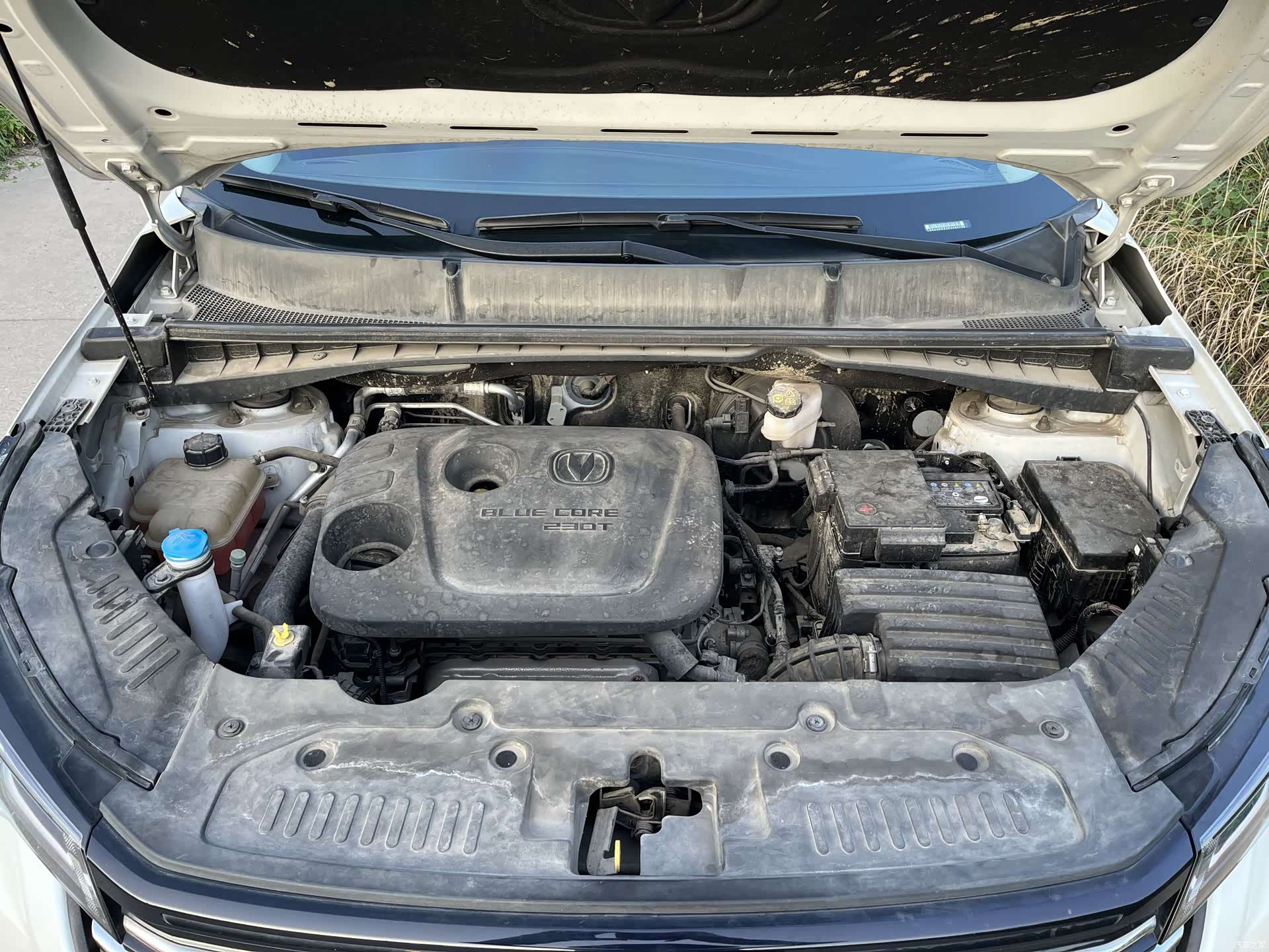 Changan CS55, 2020 13