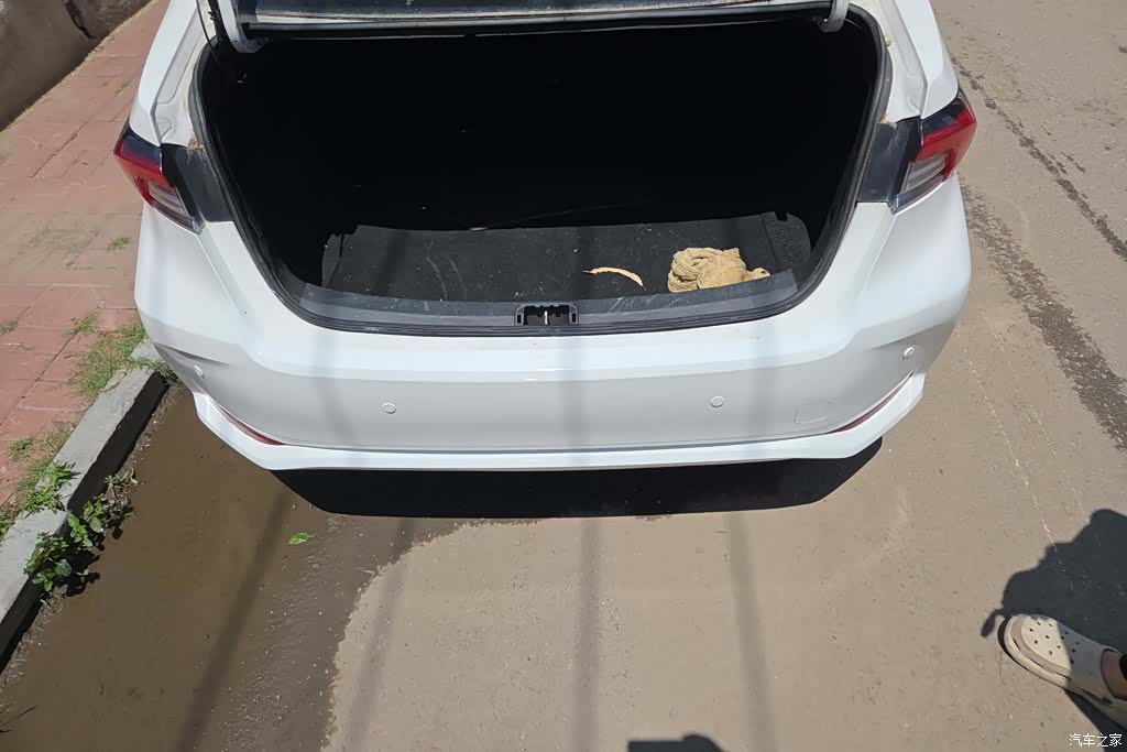 Toyota Corolla, 2021 4