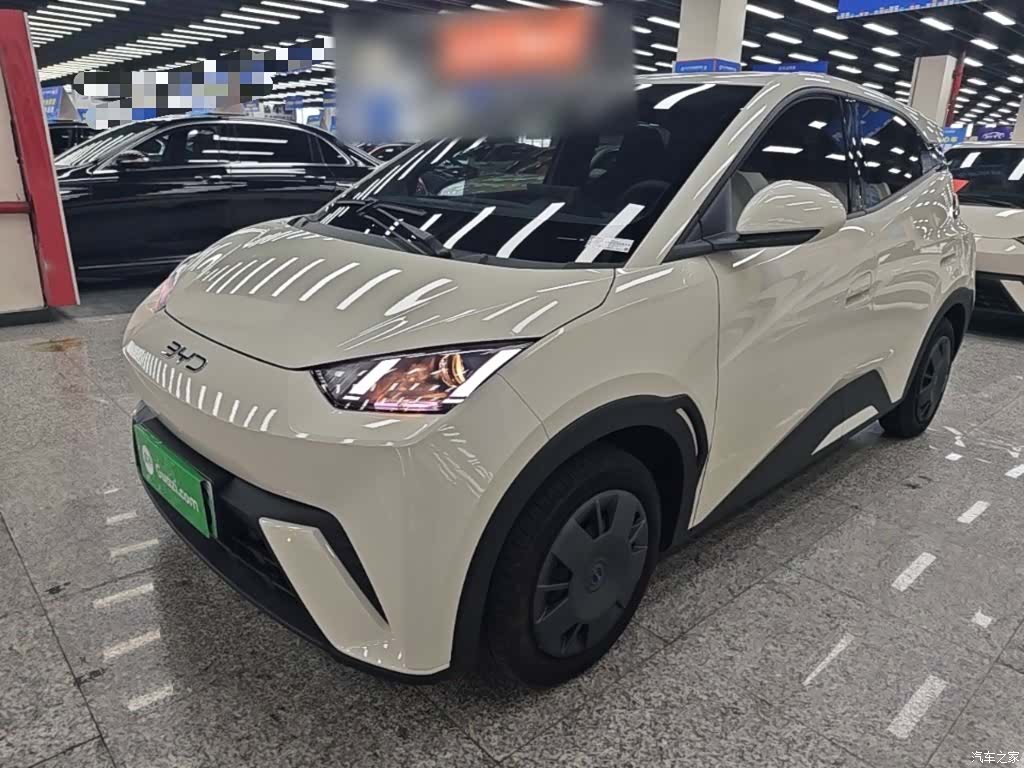 BYD Seagull, 2024 2