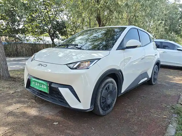 BYD Seagull 2024 — купить из Китая под заказ