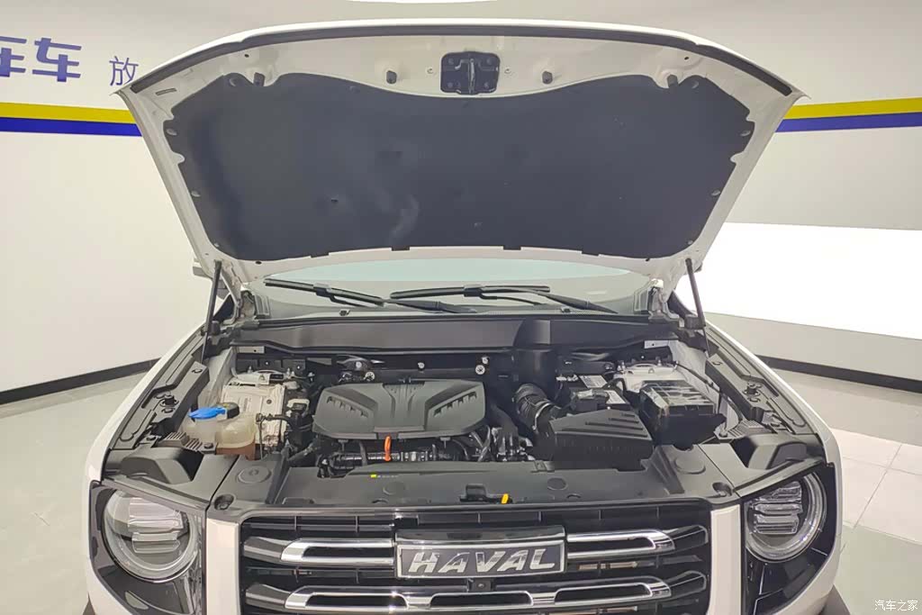 Haval Big Dog, 2022 10