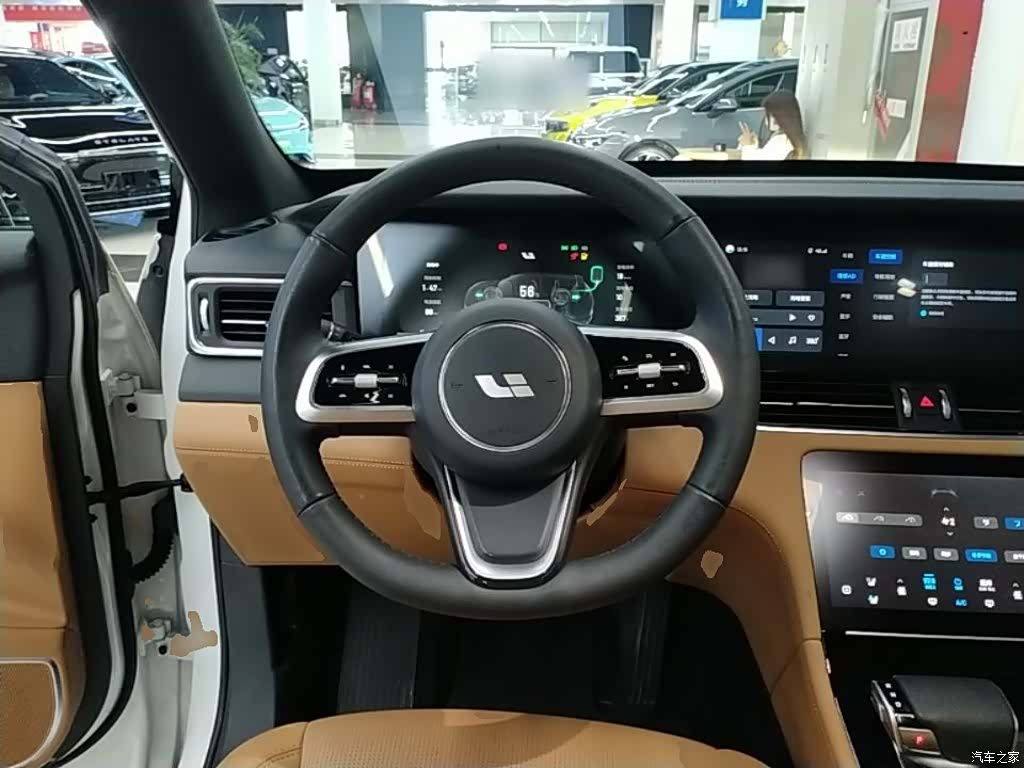 Li Auto ONE, 2021 11