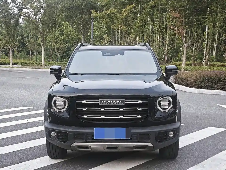 Haval Big dog