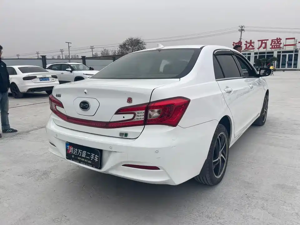 BYD Qinxin Energy