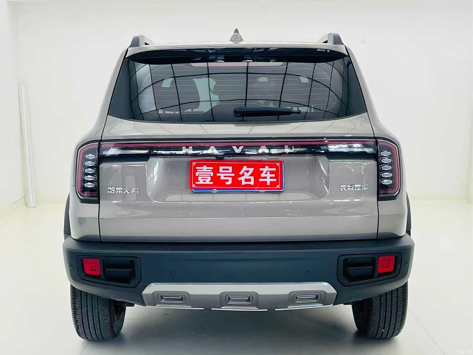 Haval Big Dog, 2025 все фото