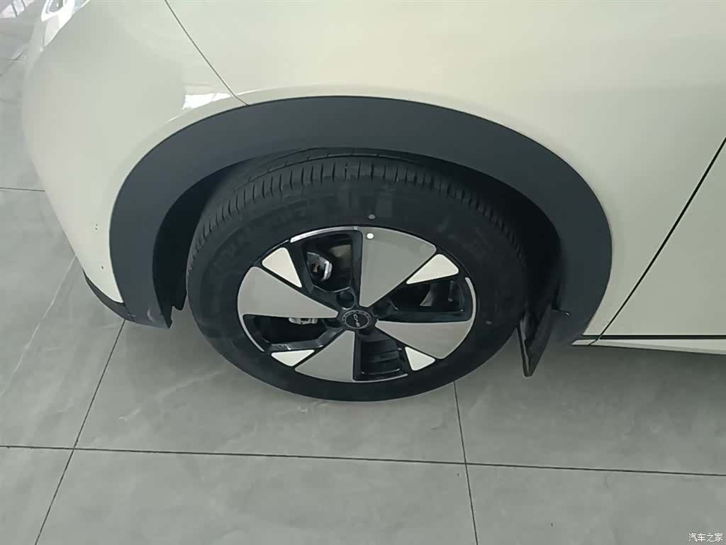 BYD Dolphin, 2024 23