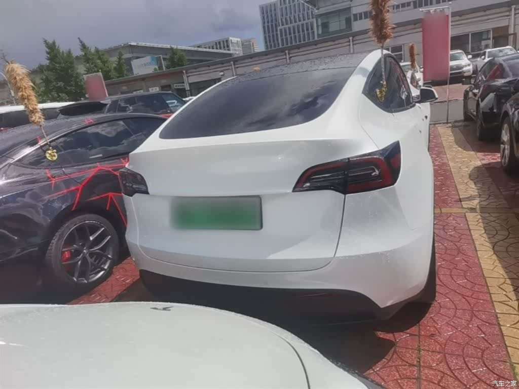 Tesla Model Y, 2024 все фото