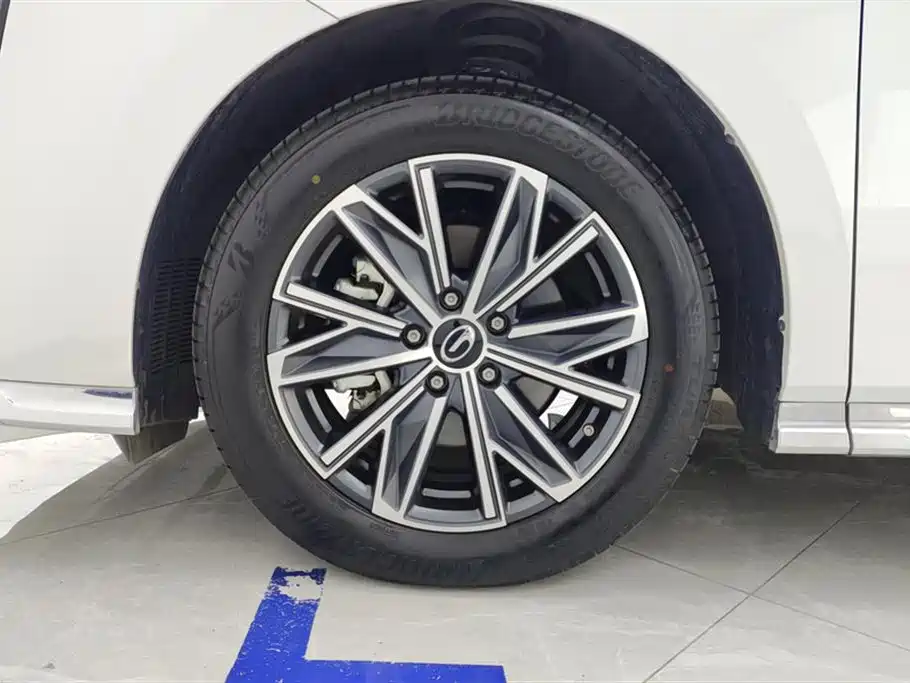 Trumpchi Trumpchi M8