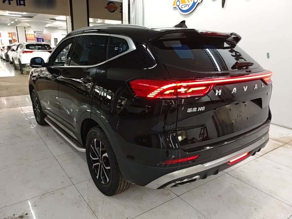 Haval H6, 2024 все фото