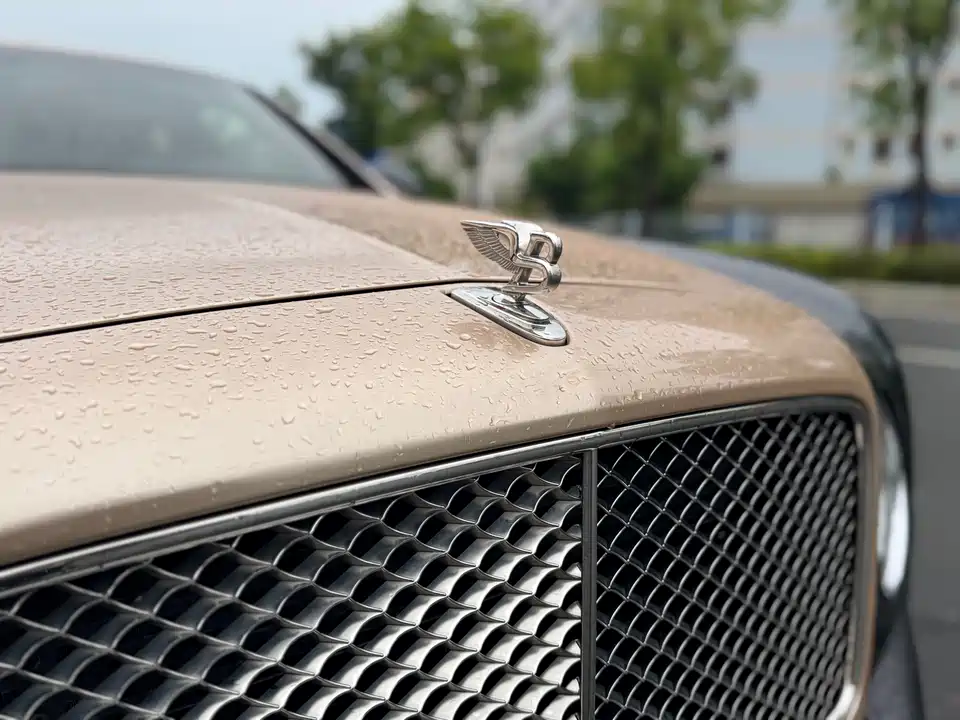 Bentley Mushan Bentley Mushan
