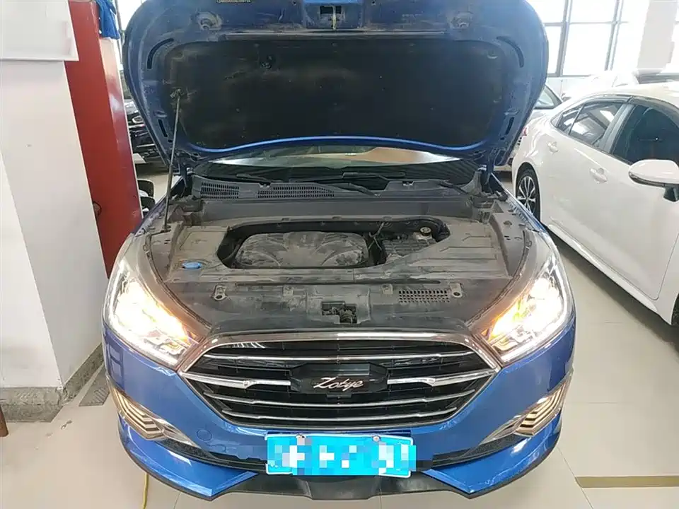 Zotye T300