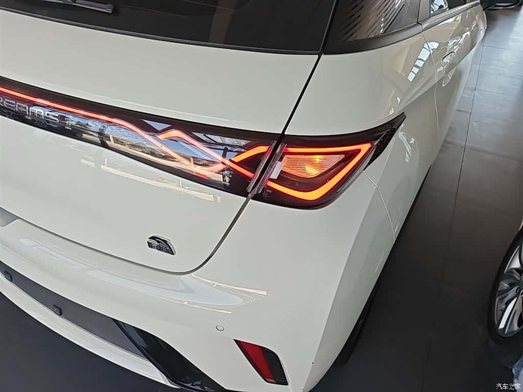 BYD Dolphin, 2023 8