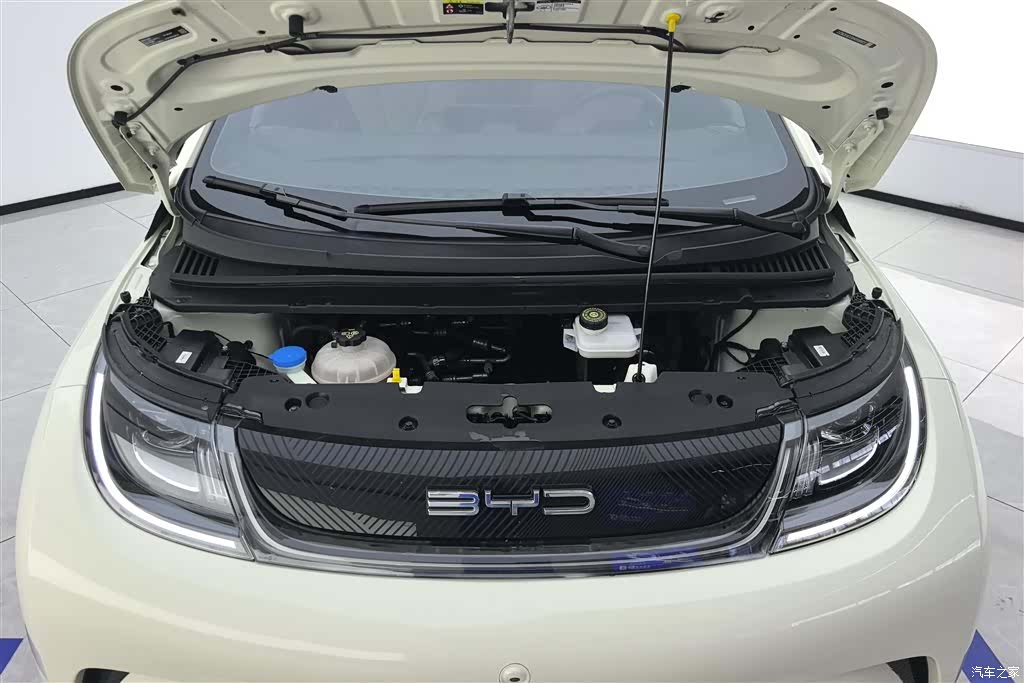 BYD Dolphin, 2023 10