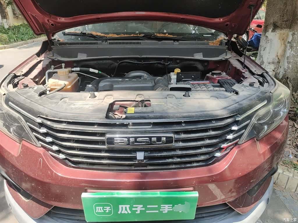 Bisu T3, 2019 11