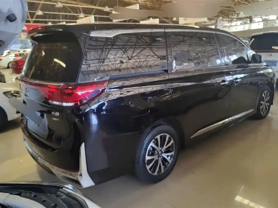 Trumpchi Trumpchi M8